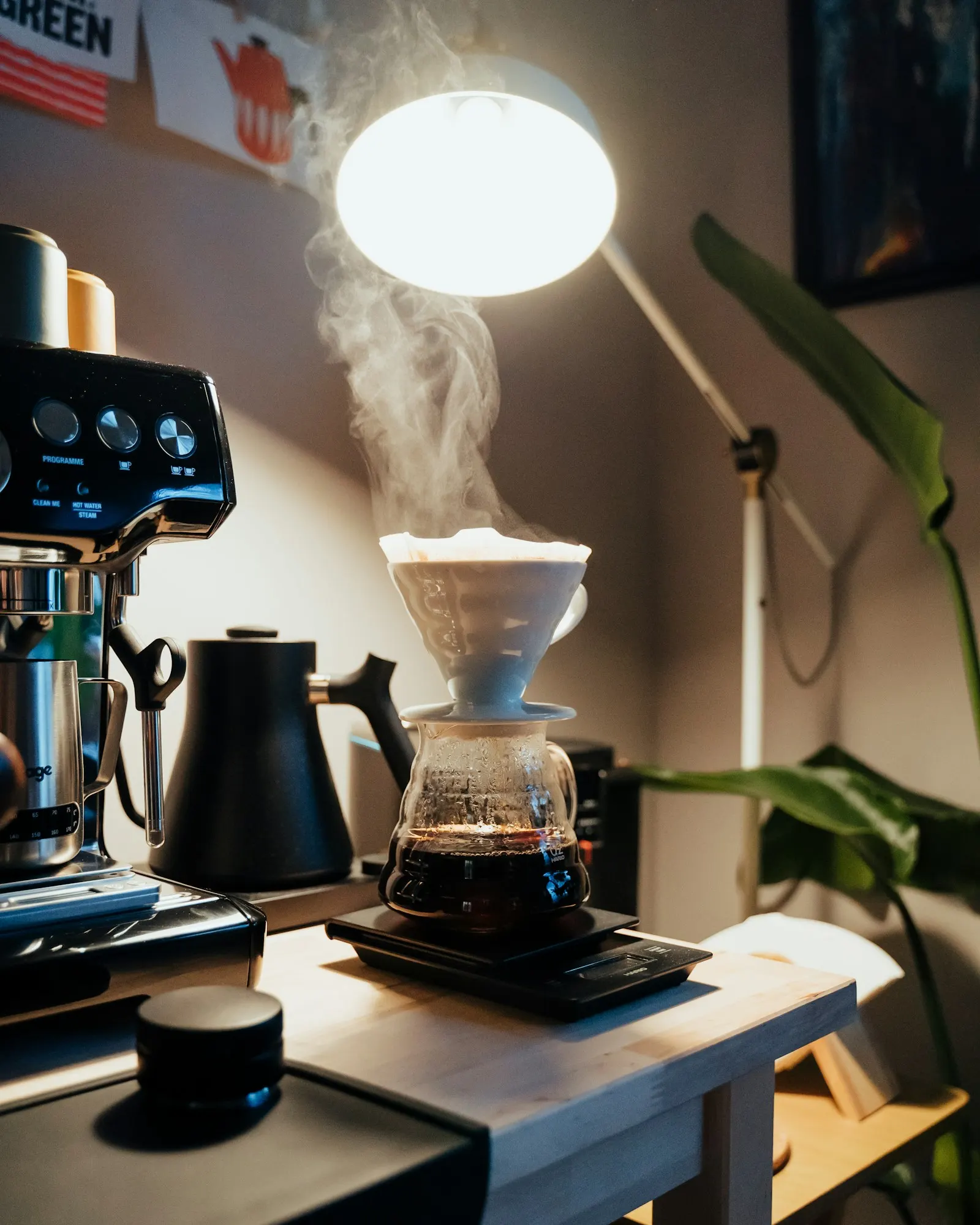 Coffee brewing equipment and freshly brewed coffee